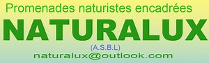 Naturlux devient