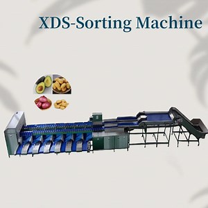 [Hot Item] Dual-Channel Weight Sorting Equipment, Mango Grading and Classification Machine