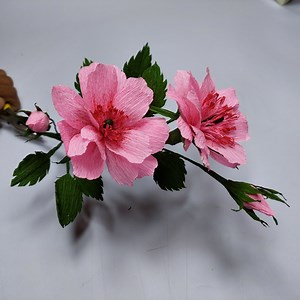 789K views · 15K reactions | SmirchS on Reels | Facebook