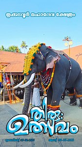 Gajarajaratnam Thrikkadavoor Shivaraju | Chengannur Mahadeva Temple ദക്ഷിണ കൈലാസം