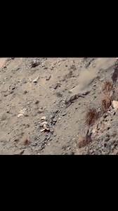 371K views · 4K reactions | #Markhor #hunting | Markhor Hunting | Facebook