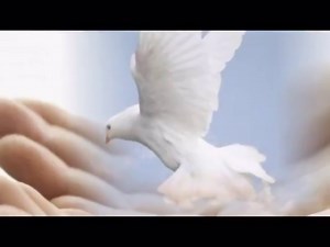 BERKI BARNABÁS - SZERELMI VALLOMÁS