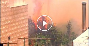 Homes destroyed, evacuations ordered in forest fire near Jerusalem