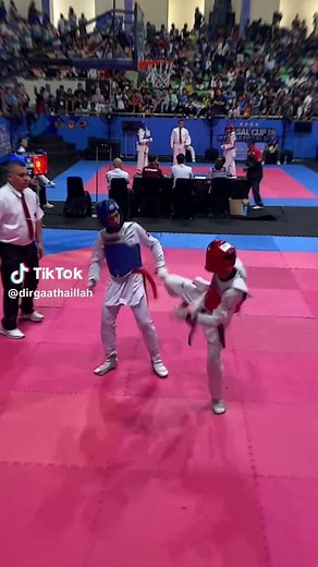 Taekwondo Skills and Combats Compilation