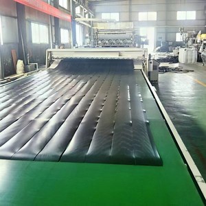 [Hot Item] Waterproof Unti-UV Low Temperature Resistance HDPE Geomembrane
