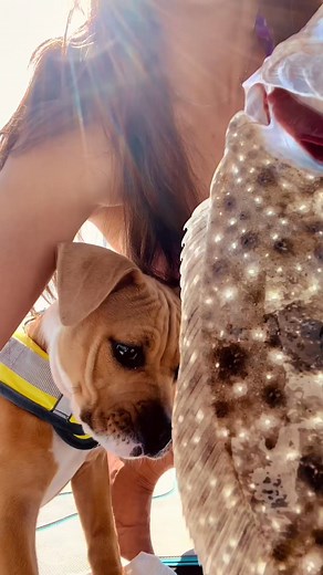 Flounder caught offshore 👀😍 #girlswhofish #bass #bassfishing #kayak #holidayseason #extreme #bigfish #fishing #bait #facebookpost | Bassfishing