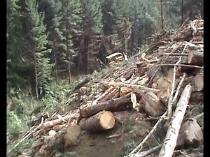 D7 bulldozer working