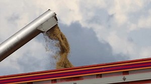 clip-3991016893-harvest-time-grains-transfer-harvesting-machine-grain
