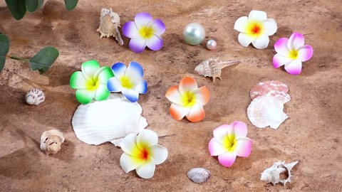 240 Pcs 2 Inch Plumeria Hair Clip Hawaiian Foam Flower Hair Clips Frangipani Artificial Foam Hair Clips for Women Girls Luau Beach Hawaii Tropical Bridal Wedding Party Decorations 8 Colors