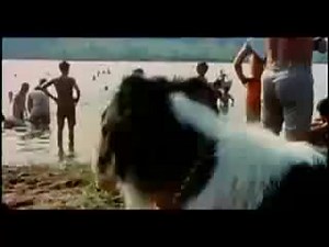 Santana Soul Sacrifice Woodstock 1969 Incredible drum solo by 20 yr old boy Michael Shrieve