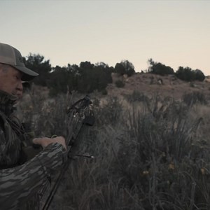 320K views · 1.2K reactions | Introducing Magnite™ | Lighter than aluminum, stronger than carbon. | Xpedition Archery | Facebook