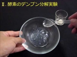 〈実験〉 酵母の糖質分解／酵素のデンプン分解