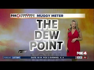 FORECAST: Heat and Humidity Build Back In