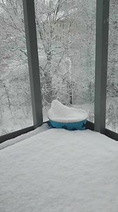 18 reactions | Snow ❄ | Alymew | Facebook