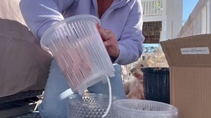 QCQHDU 2 Pack Self Watering Pots, 7.2 Inch Flower Pots with Drainage Holes and Water Filling Port, Garden Planter for Indoor Outdoor Plants (Klein Blue)