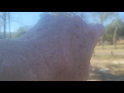 Rivers edge campground, Holt, FL walkaround