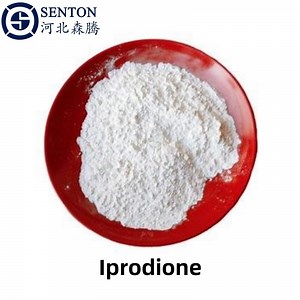 [Hot Item] Agrochemicals Pesticide Organic Fungicide Iprodione 50% Wdg/Wg