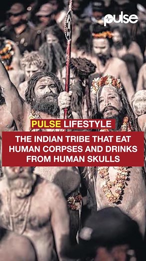Ever known of this Indian tribe? #PulseWatchIt #PulseWatchItLifestyle | aghori india