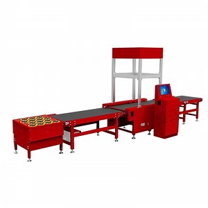 [Hot Item] Smart Sorting Automation System for Efficient Logistics Management