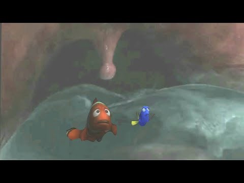 Finding Nemo Marlin and Dory Whale scene