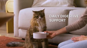 From the #1 Vet Recommended Supplement Company. Proviable® multi-strain probiotic. | Chewy