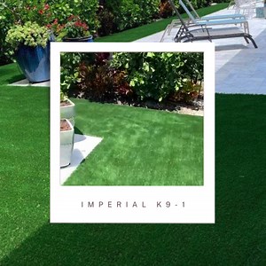 Turf Pros Solution on Reels | Facebook