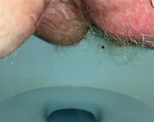 Casual Morning Dump Turns Urgent 2/22/2026AM