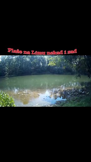 ZARASLE SU STAZE MOJE | Ferid Feki Halilagić