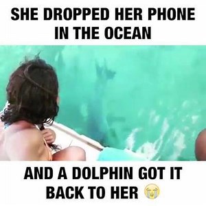 😂😂😂 | Fix Earth