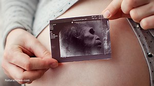 Harvard Medical School scientists need a female volunteer willing to give birth to a genetically modified Neanderthal - Conservative News & Right Wing News | Gun Laws & Rights News Site
