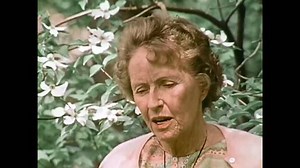 Circa 1940s Waves Women Accepted Volunteer: Stockvideos & Filmmaterial (100 % lizenzfrei) 1021231528 | Shutterstock