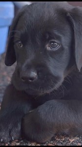 2.6K views · 70 reactions | We’re celebrating International...