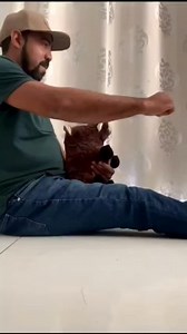 Por aqui tudo pronto pra encarar mais uma semana cheia de desafios e conquistas!! E por aí?? Animados??🙏🙏🐗🐗🔥🔥🔥 . . #brutosdojava | Brutos Do Java