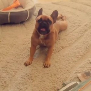 4.6K views · 233 reactions | "Gotta keep in shape!" Come join...