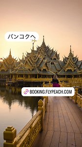 Peach Aviation on Reels | Facebook