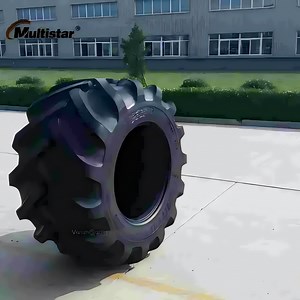 [Hot Item] Metric Grip Ls-2 Tire 600/65-34 for Log Stomping