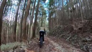 Go everywhere. Our bikes will take you there. 🎬 Hisato | Breadwinner Cycles