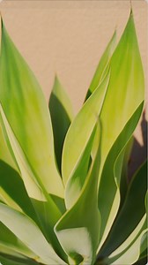 1.1K views | Feeling stressed and in need of rejuvenation? We invite...