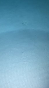 11K views · 95 reactions | Peaceful night swim alone SUMMER 2023 IBIZA filmed by @josedeintelligentsia for NeomaniaMagazine.com #neomaniamagazineTV #neomaniamagazine #summer #ibiza #sun #sea #pool #villa #food #drink #yacht #boat #friends #holiday #vacation #spain #europe | Neomania + magazine | Facebook