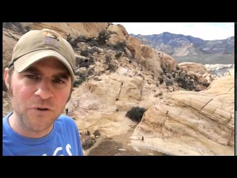 Mojave desert oasis