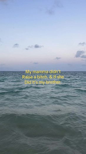 Funny Siblings Moments: My Mom Didn’t Raise a Bitch TikTok Clip