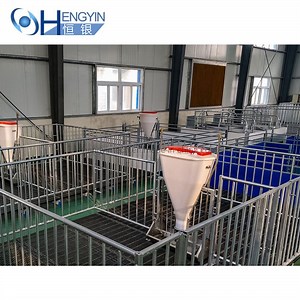 [Hot Item] Modern Pig Farm Design and Equipment Provision