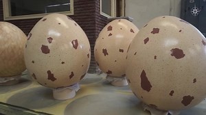 Niet alleen op de bouwplaats in Avalon gaat het bijzonder hard, maar ook in de werkplaats. 👷‍♂️🚧Daar beginnen heel bijzondere elementen vorm te krijgen, zoals het Ice Dragon Statue van Waterdwarf Alley én verschillende etenswaren van drakenchef Spicy Pete! 🍗🐲 👉 Meer weten over deze verschijningen? Check: toverland.com/nieuw2023 | Attractiepark Toverland