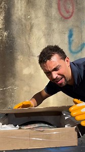 Homemade skeleton | Wildlife On Camera