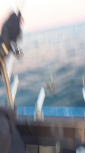 Salmon fishing has been a riot!!!🔥 #fypシ #lakemichigan #clearwater #greatlakes #trolling #kingsalmon #rainbowtrout #guidedtrips #diehardangling | Diehard Angling