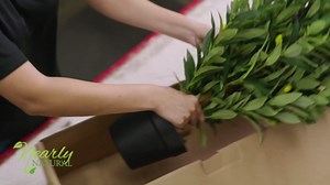 Nearly Natural 30in. UV Resistant Artificial Morning Glory Hanging Plant (Indoor/Outdoor) - Set of 6