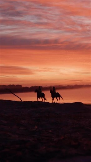 1.3K views · 105 reactions | Is there a more beautiful place to watch racehorses?  | World Horse Racing | Facebook