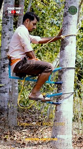 When life gives you trees, make like a squirrel and climb! 🐿️🌲 Introducing my tree climber cycle, the ultimate way to explore the great outdoors. | Discover Agriculture