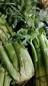 2.1K views · 22 reactions | Frutería Claudito tiene está súper oferta Mata de Apio a tan solo $ 1000 pesos . | Radio Nahuelbuta Fm | Facebook