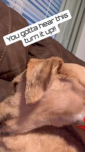 2.5K views · 4 comments | Tasty. | Exploring Alabama | Facebook